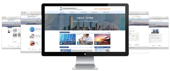 金百瑞科技助力國(guó)藥控股集團(tuán)官網(wǎng)成功升級(jí)，彰顯武漢企業(yè)網(wǎng)站建設(shè)實(shí)力